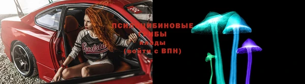 эйфоретик Арсеньев