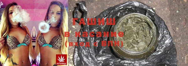 индика Балабаново
