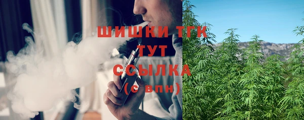 индика Балабаново