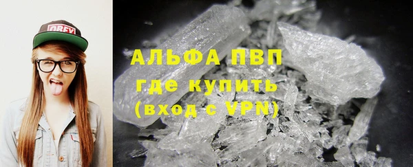 индика Балабаново